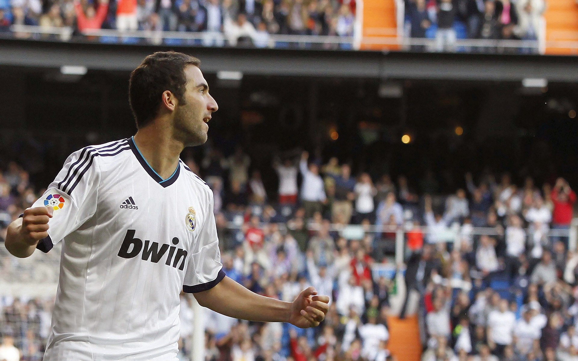 “德甲球队状态火热,冠军争夺逐渐明朗”,德甲阵营